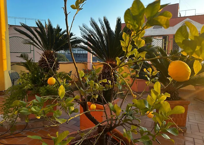 All Comfort Astoria PalaceBed and Breakfast